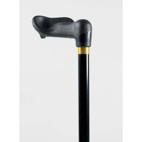 Walking Stick Fischer