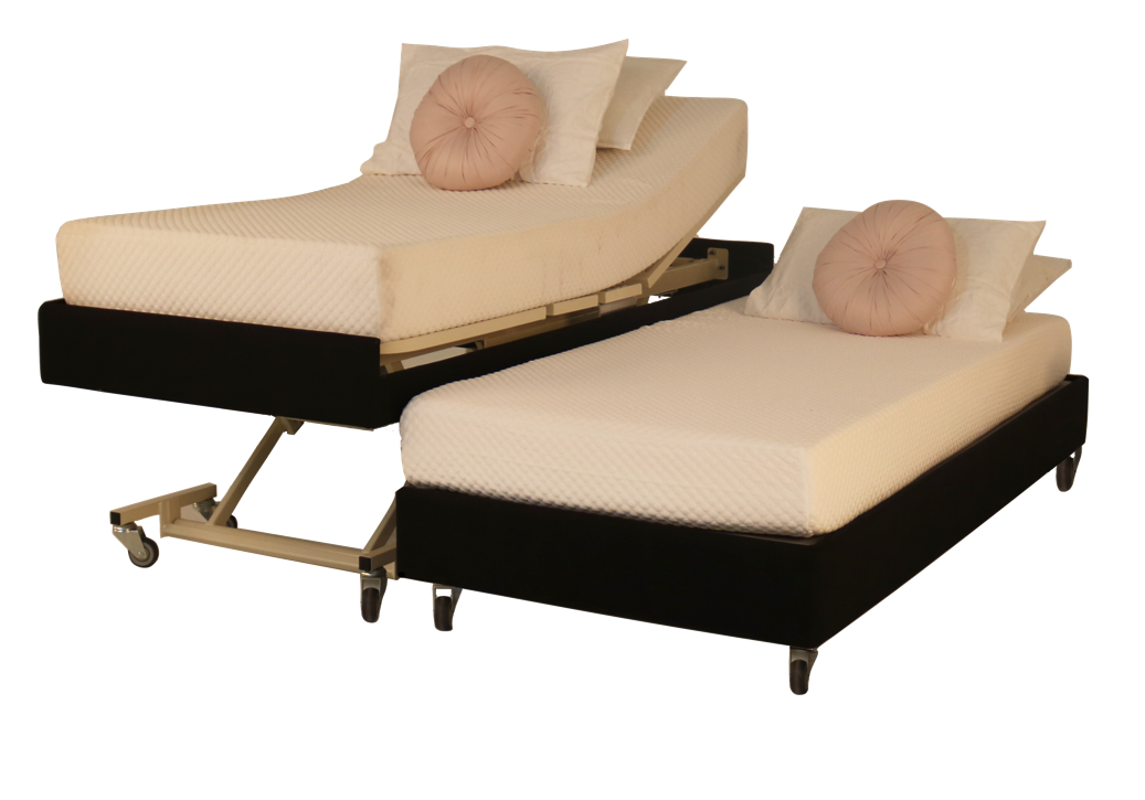 Icare Companion Bed